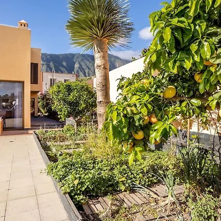 Villa De La Huerta Con Piscina Privada Y Barbacoa Güímar